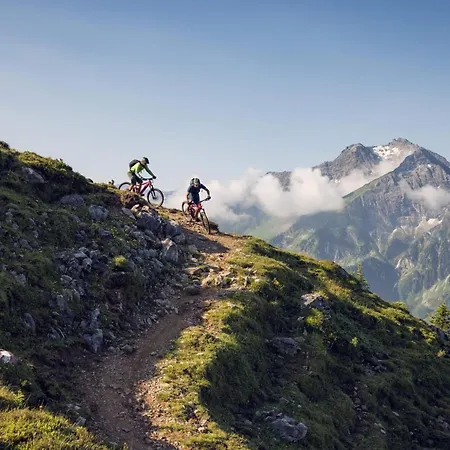 Appartement Alpenluxus Presents Panorama - Car Park And Mountain View Mayrhofen